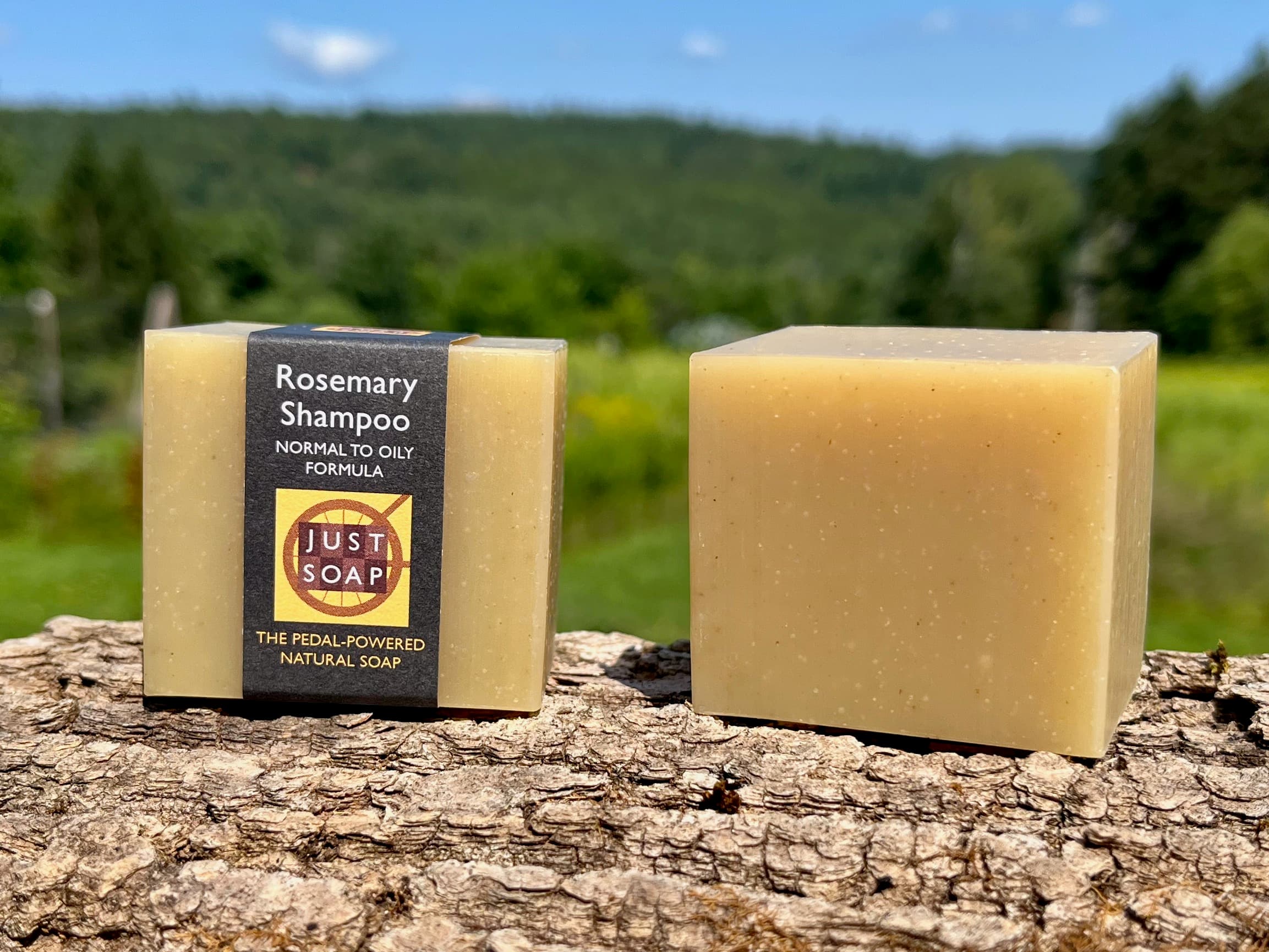 Shampoo Bars